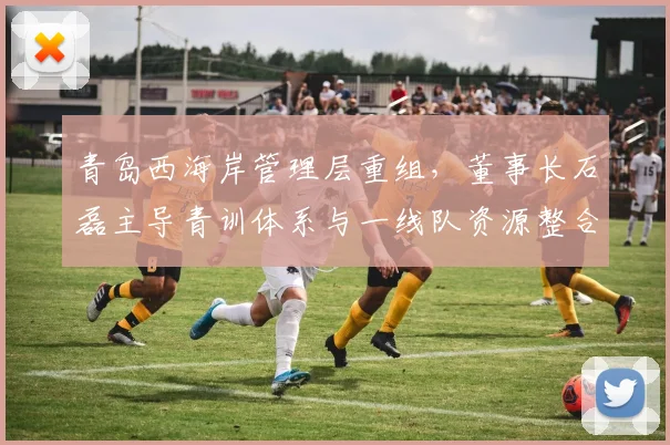 青岛西海岸管理层重组,董事长石磊主导青训体系与一线队资源整合